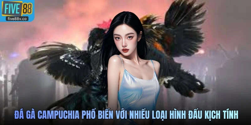 Các loại hình đá gà Campuchia phổ biến với nhiều loại hình đấu kịch tính