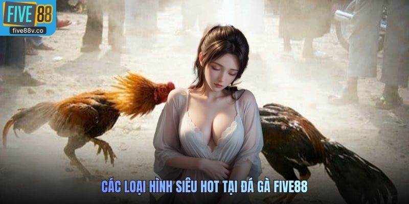 Các loại hình siêu hot tại Đá Gà Five88