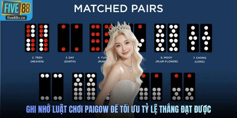 Ghi nhớ luật chơi Paigow để tối ưu tỷ lệ thắng đạt được