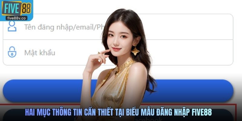 Hai mục thông tin cần thiết tại biểu mẫu đăng nhập Five88